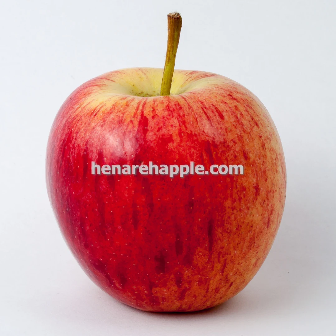 خرید و قیمت سیب کردستان صادراتی