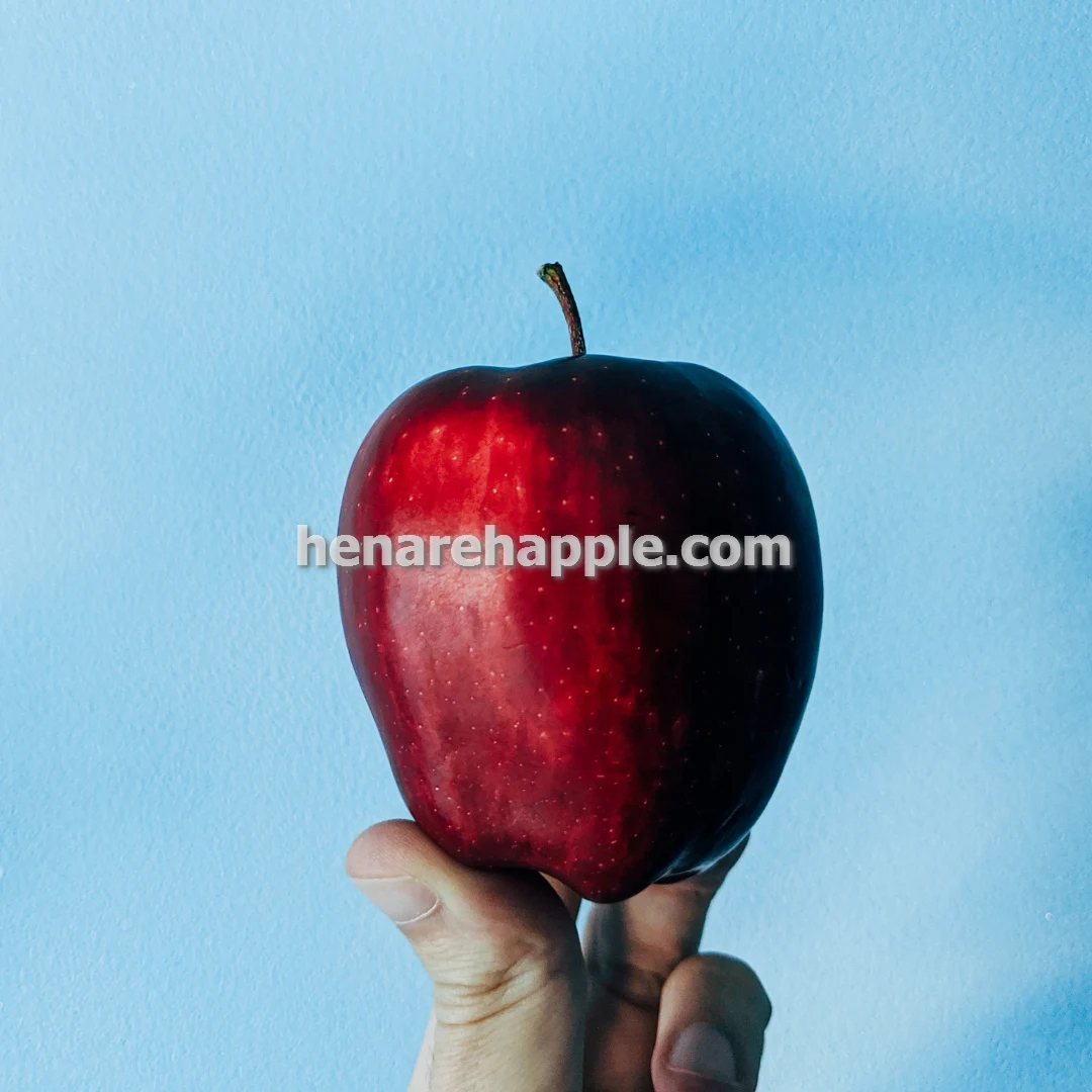 خرید و قیمت سیب کردستان ویژه سردخانه